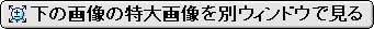 ̉摜̓摜ʃEBhEŌ